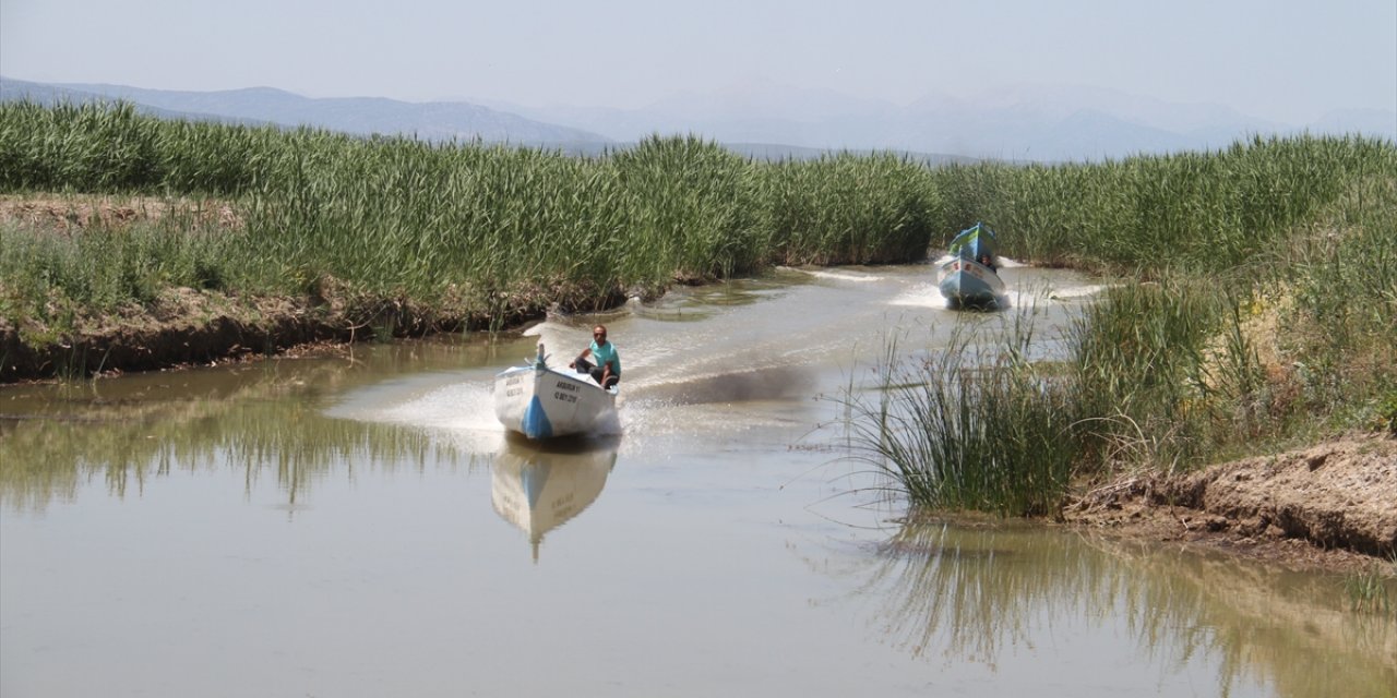 Beyşehir Gölünde yeni av sezonu açıldı