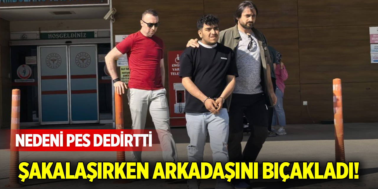 Şakalaşırken arkadaşını bıçakladı! Nedeni pes dedirtti