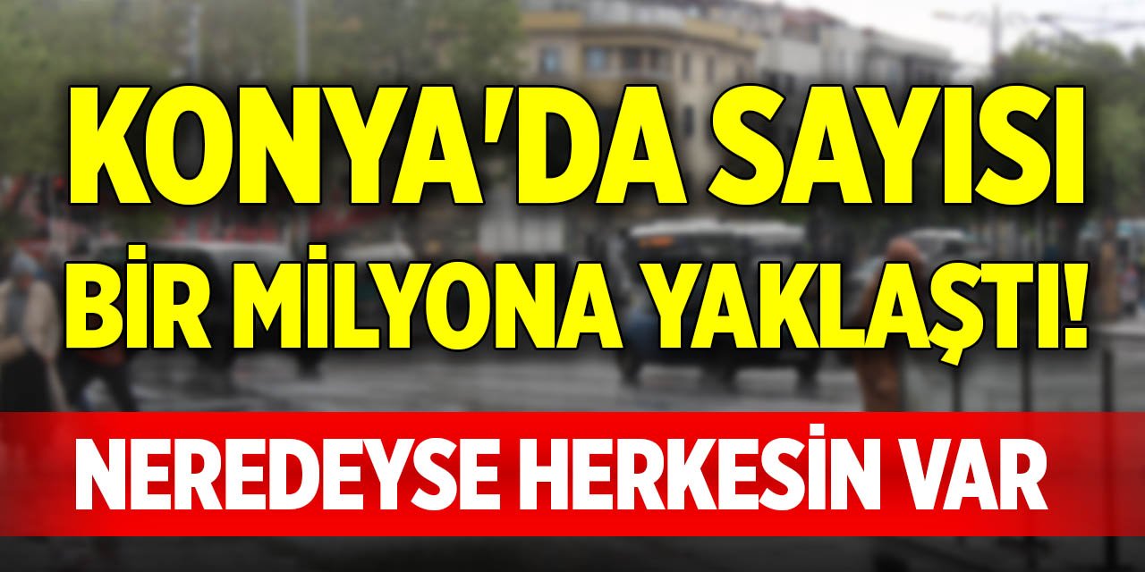 Konya'da sayısı bir milyona yaklaştı! Neredeyse herkesin var