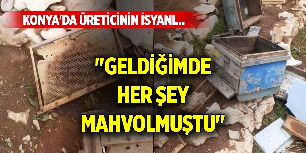 Konya'da üreticinin isyanı... "Geldiğimde her şey mahvolmuştu"