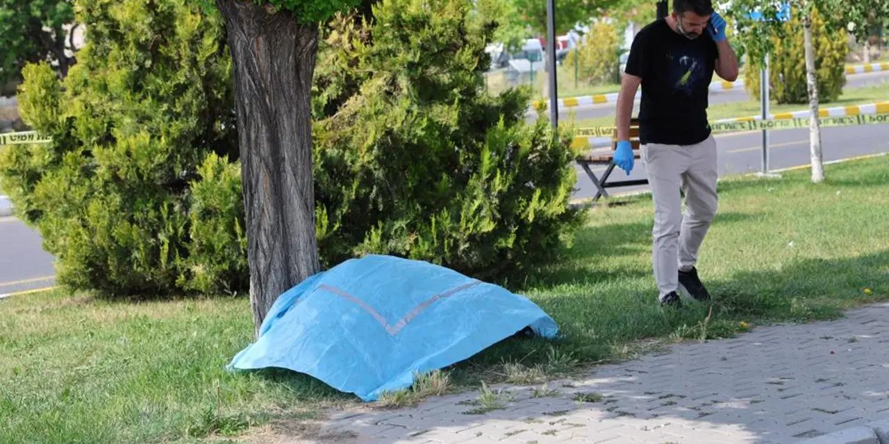 Önce annesinin mezarını ziyaret etti, sonra canına kıydı