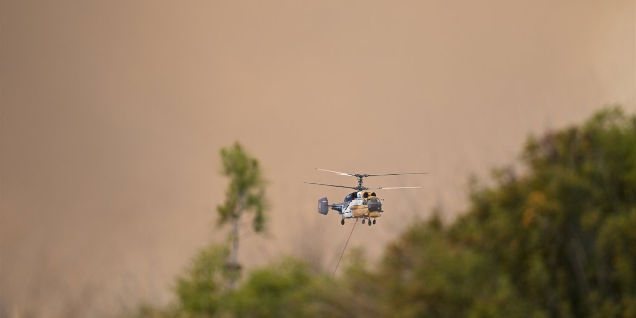 Korkutan orman yangını!