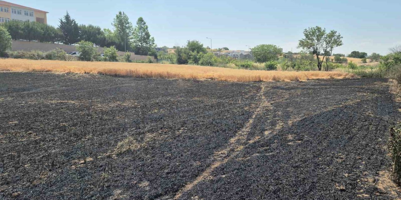 Buğday tarlası alevlere teslim oldu