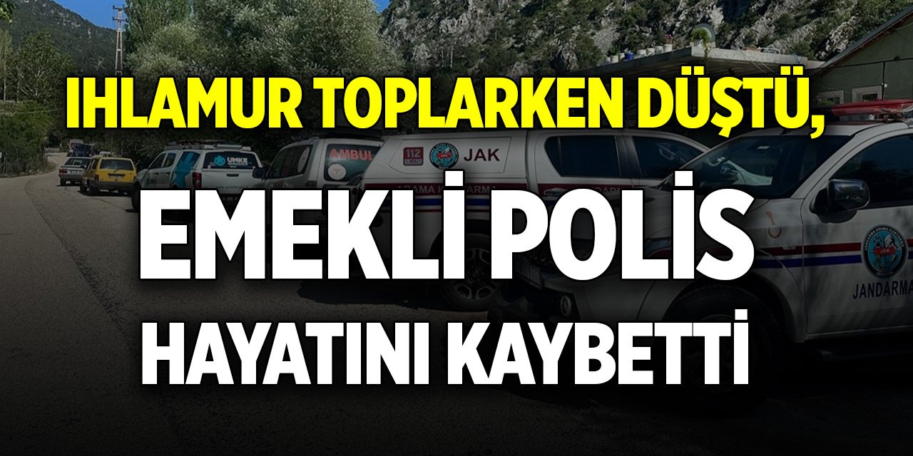 Ihlamur toplarken düştü, emekli polis hayatını kaybetti
