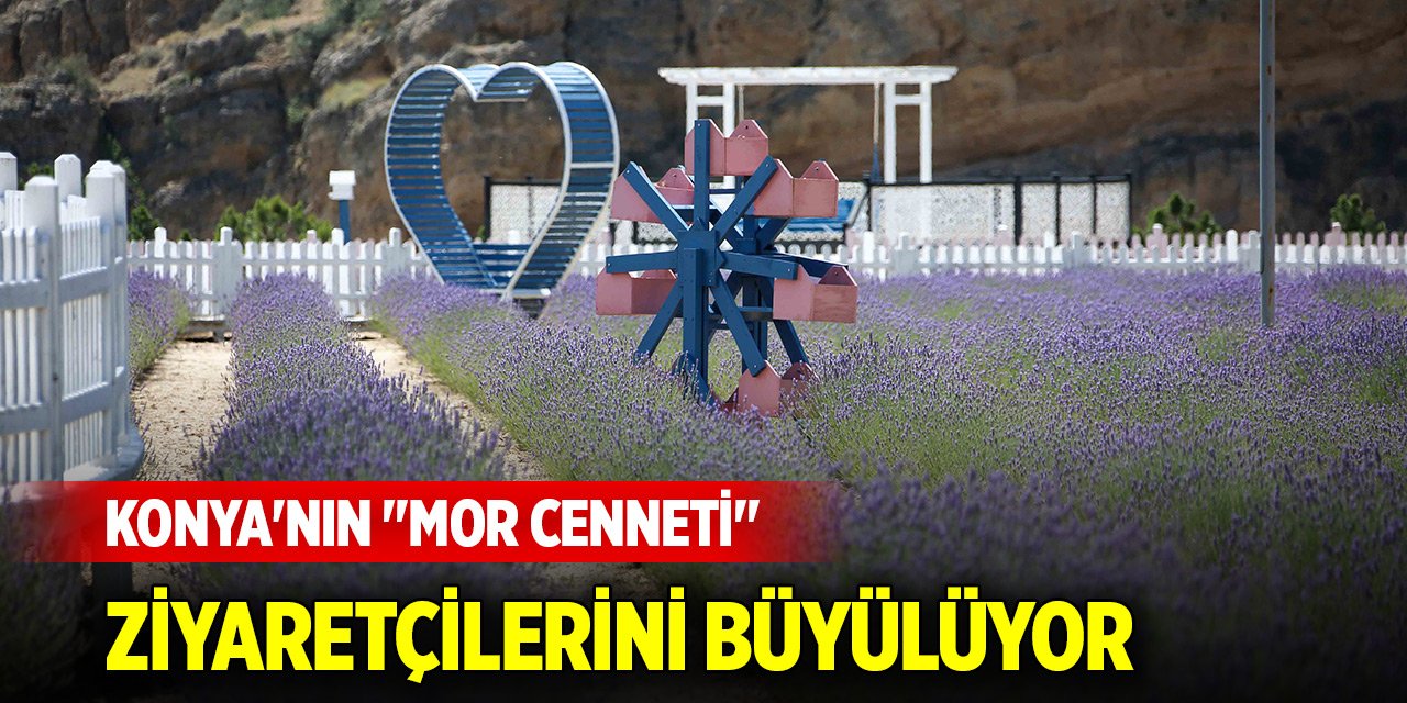 Konya'nın "Mor Cenneti" ziyaretçilerini büyülüyor