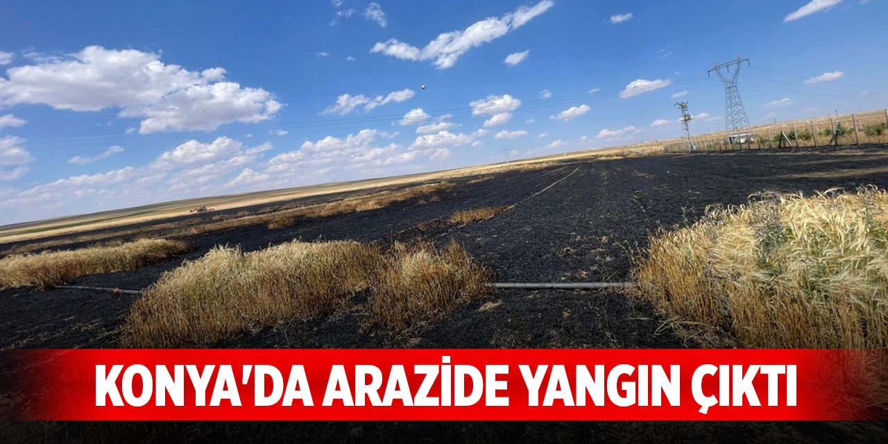 Konya'da buğday ekili arazide yangın çıktı