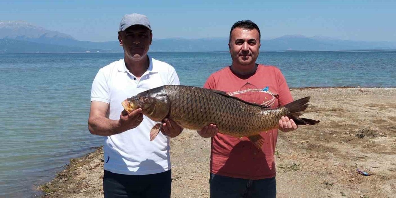 Beyşehir Gölünde ağlara vurdu... Tam 17 kilo!