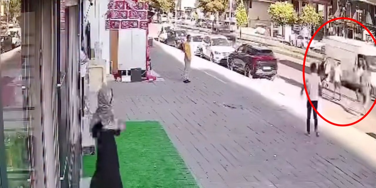 Bıçaklı kavgadan kaçarken minibüsün altında kalıp öldü