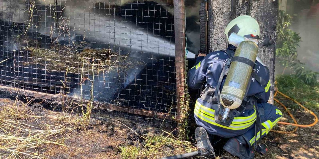 Önce otları, sonra ahırı yaktı