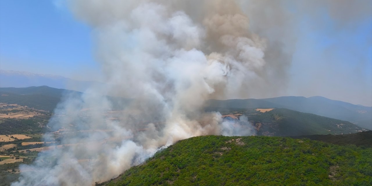 Korkutan orman yangını!