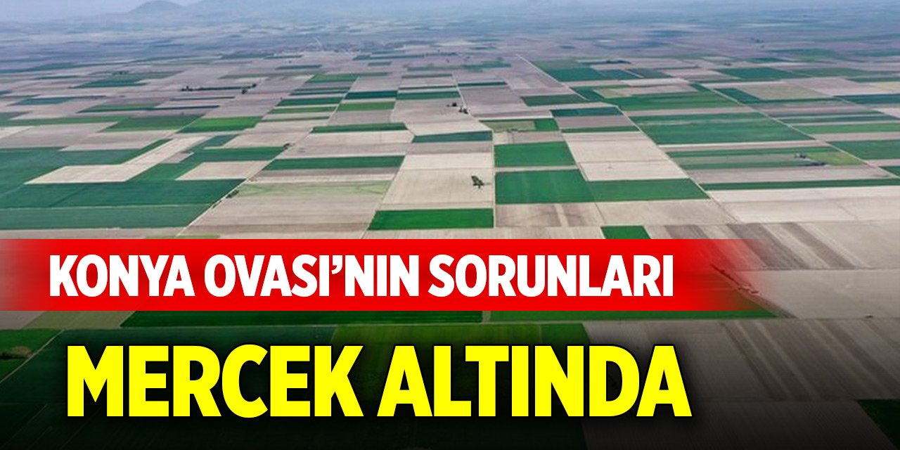 Konya Ovası’nın sorunları mercek altında