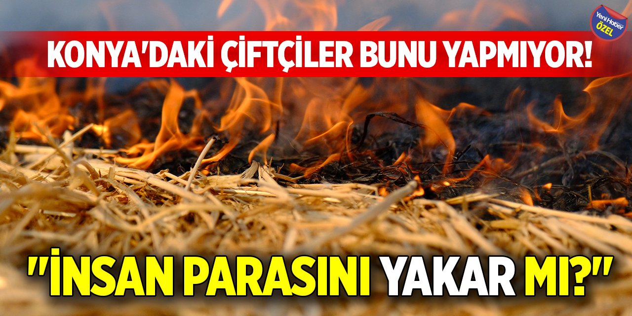 Konya'daki çiftçiler bunu yapmıyor! "İnsan parasını yakar mı?"