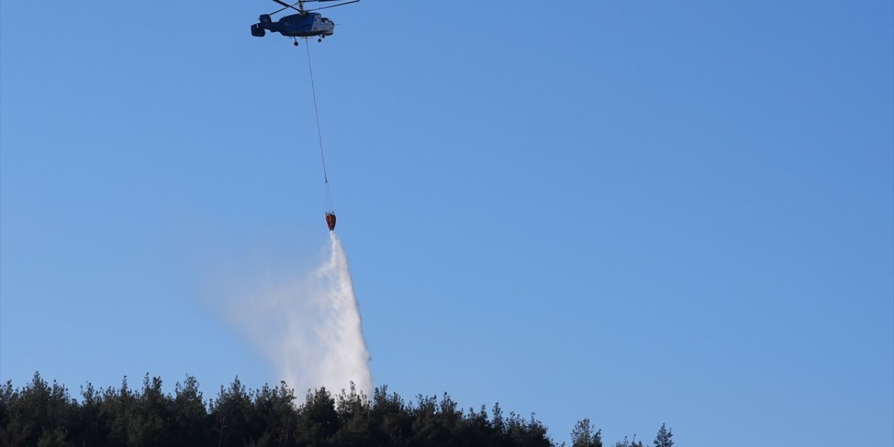 İzmir'deki orman yangını kontrol altına alındı