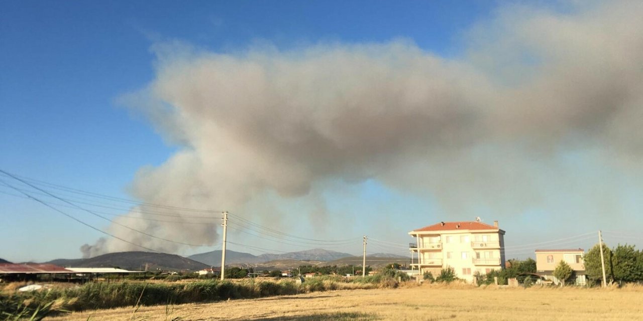 İzmir'de sanayide çıkan yangın ormana sıçradı