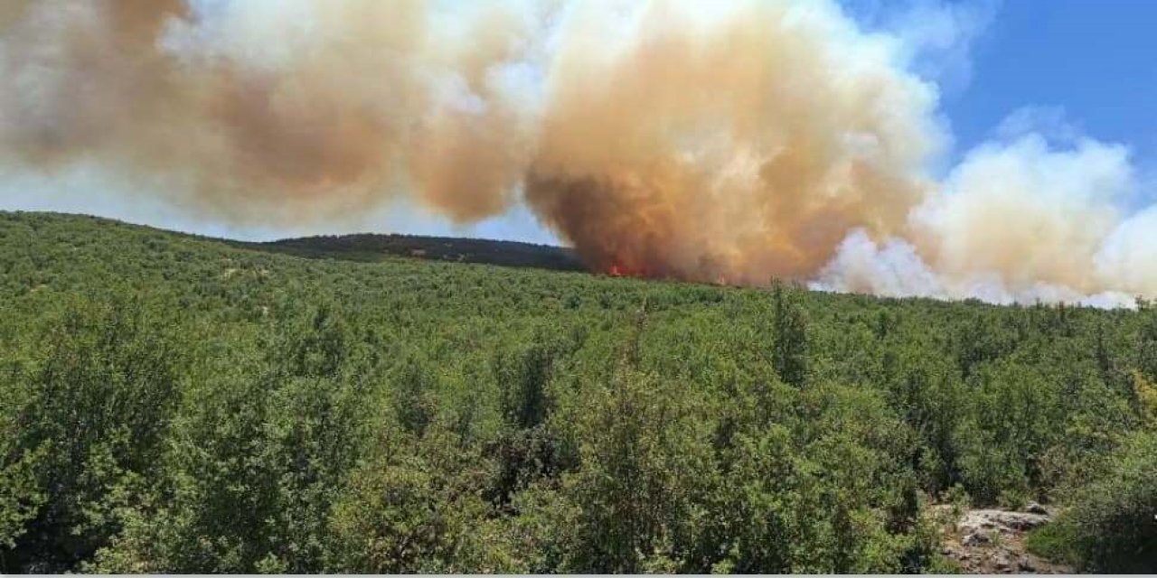 Son Dakika! Son iki günde 111 yangın meydana geldi
