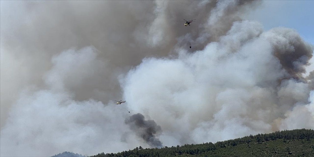 Yangında bir köy kül oldu