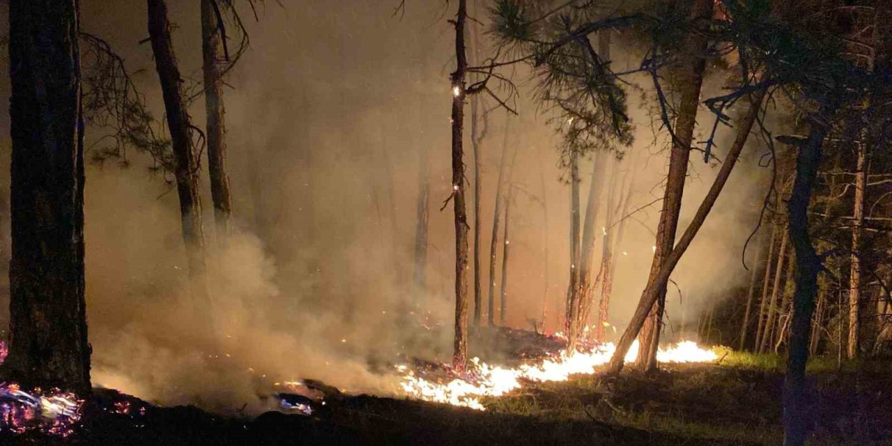 Bolu’daki orman yangını büyüyor: Karadan müdahale sürüyor