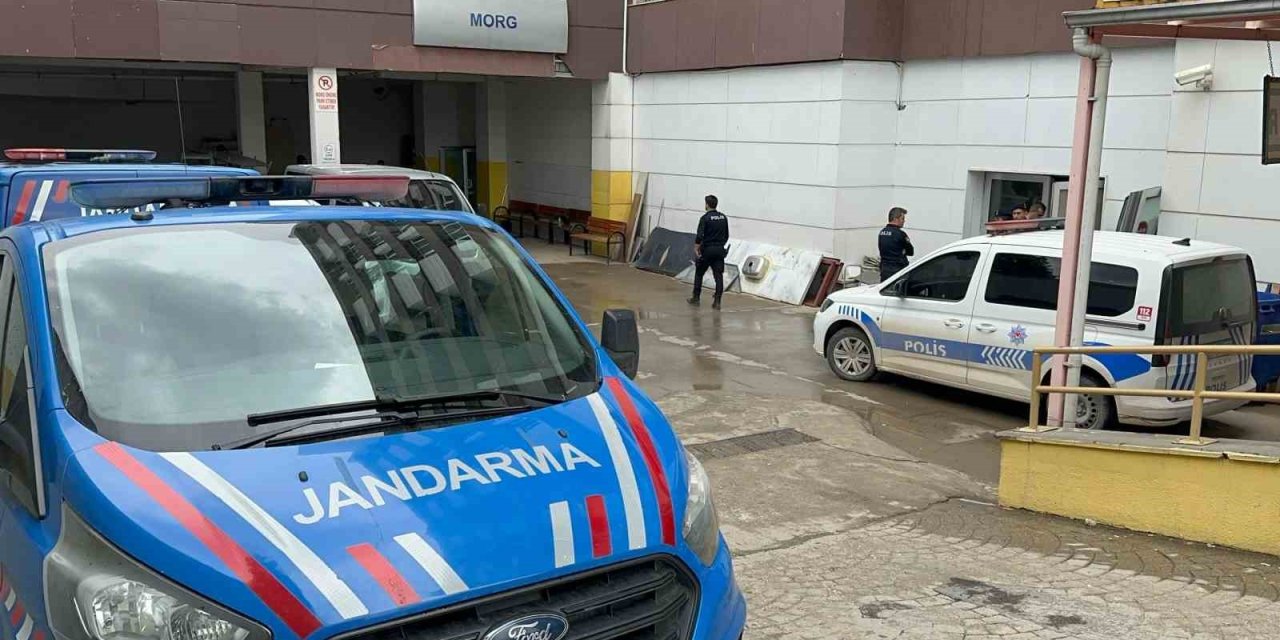 Torununu kurtarmak isterken hayatını kaybetti