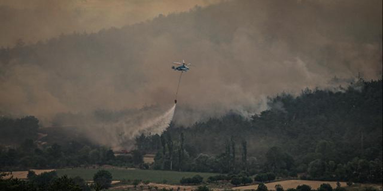 Bakan Tunç'tan orman yangınları ile ilgili önemli açıklama