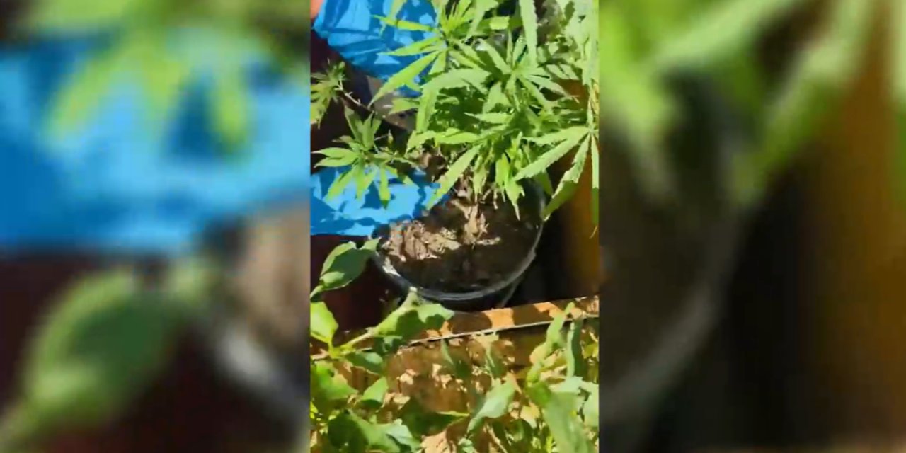 Konya’da narkotik operasyonları: 34 tutuklama