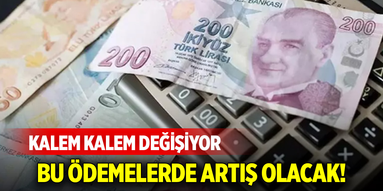 Bu ödemelerde artış olacak! Kalem kalem değişiyor