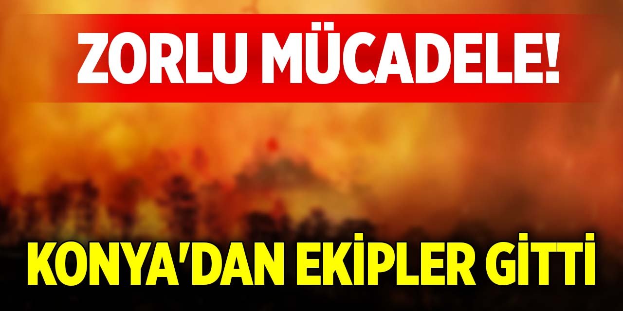 Zorlu mücadele! Konya'dan ekipler gitti