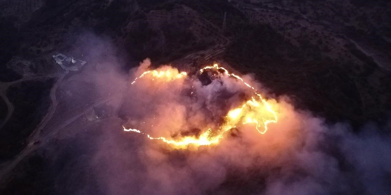 Keneyi yakmak isterken ormanı yaktı