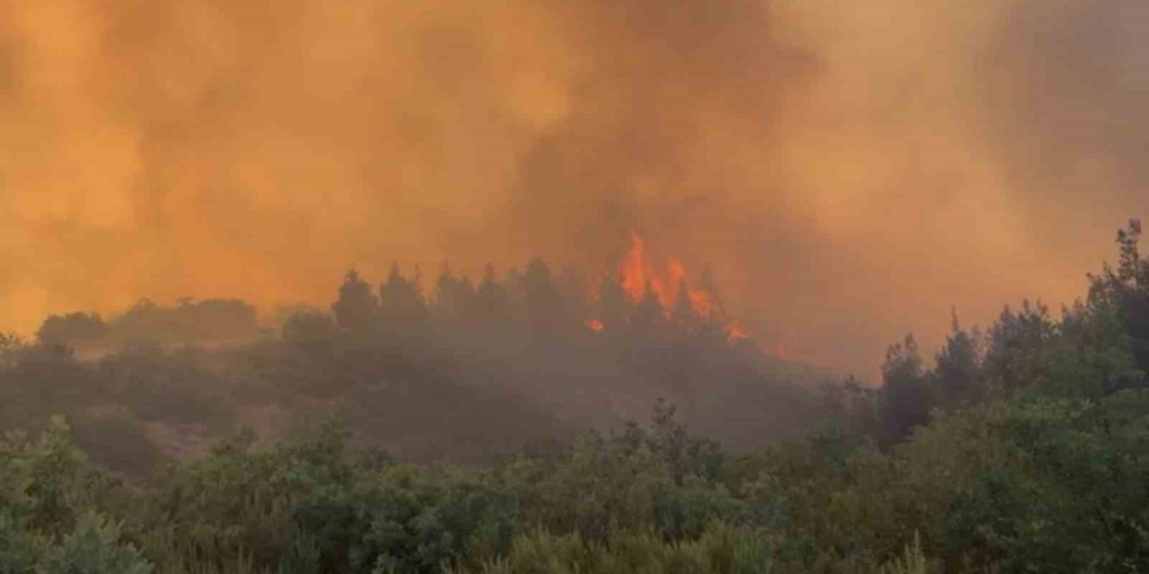 Balıkesir’deki orman yangını kontrol altına alındı