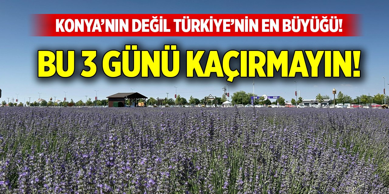 Konya’nın değil Türkiye’nin en büyüğü! Bu 3 günü kaçırmayın