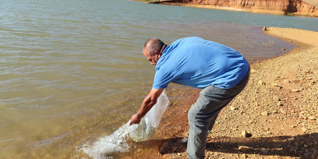 Konya'nın su kaynakları balıklandırılıyor