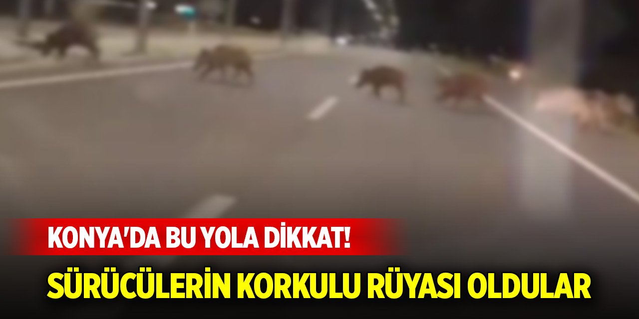 Konya'da bu yola dikkat! Bir an çıkıp hayati tehlikeye neden açıyorlar