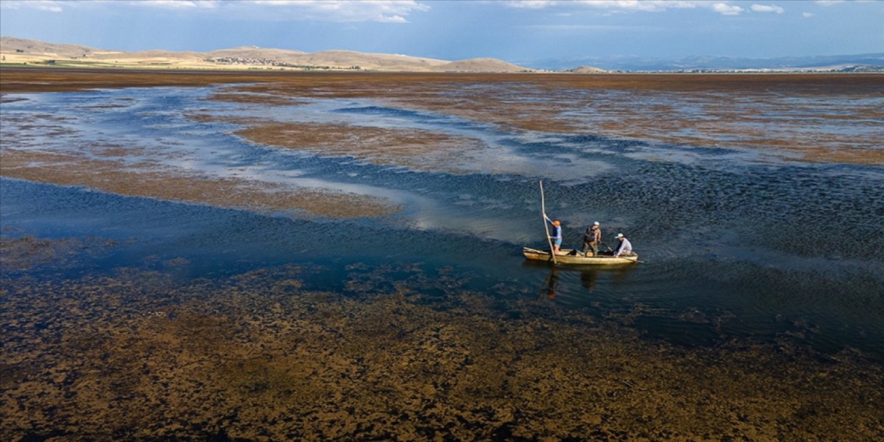 Türkiye'nin ilk İklim Kanunu'nun tüm merak edilenleri
