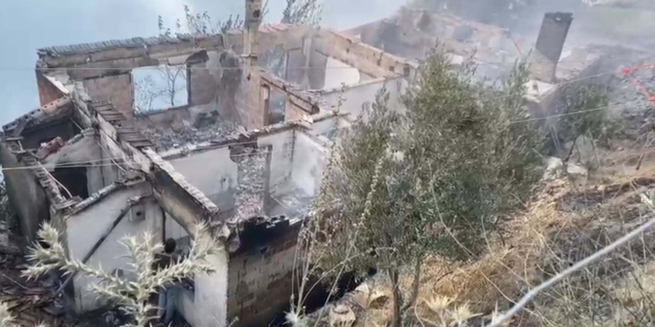 İzmir Ödemiş'teki orman yangından acı haber