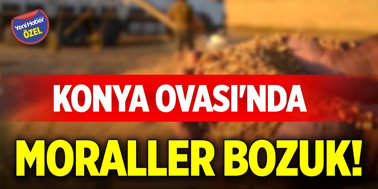 Konya Ovası'nda moraller bozuk!