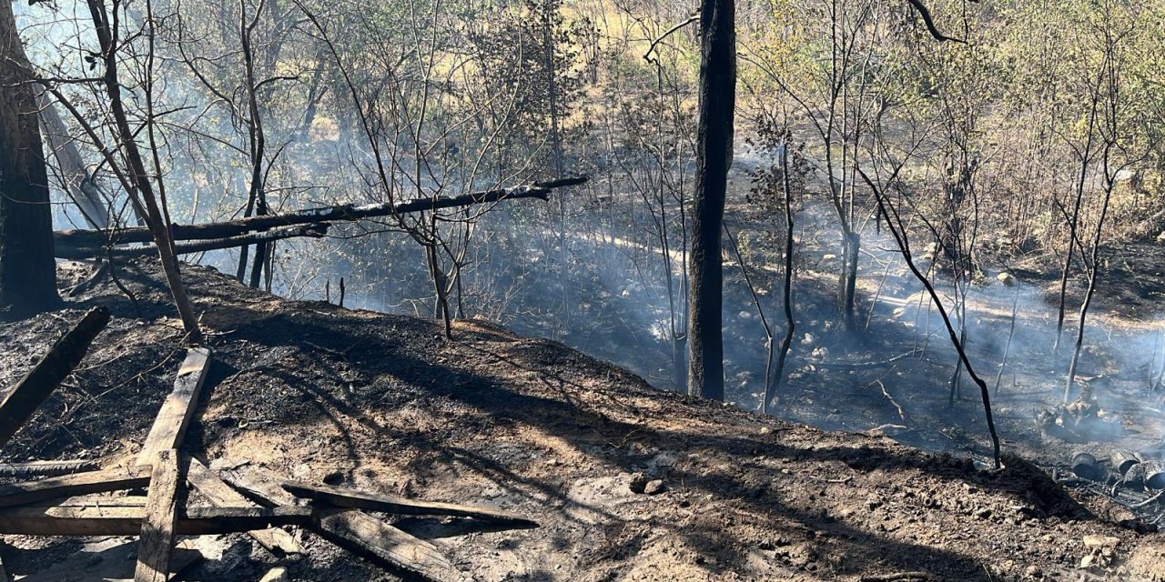 Konya Tavusbaba Seyir Alanı çevresinde yangın