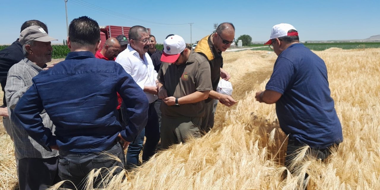 Karapınar’da hububat hasadı devam ediyor