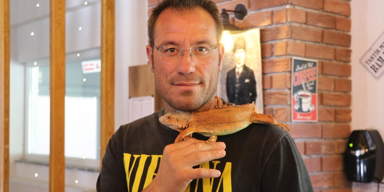 Omuzlarda gezen "Ökkeş"