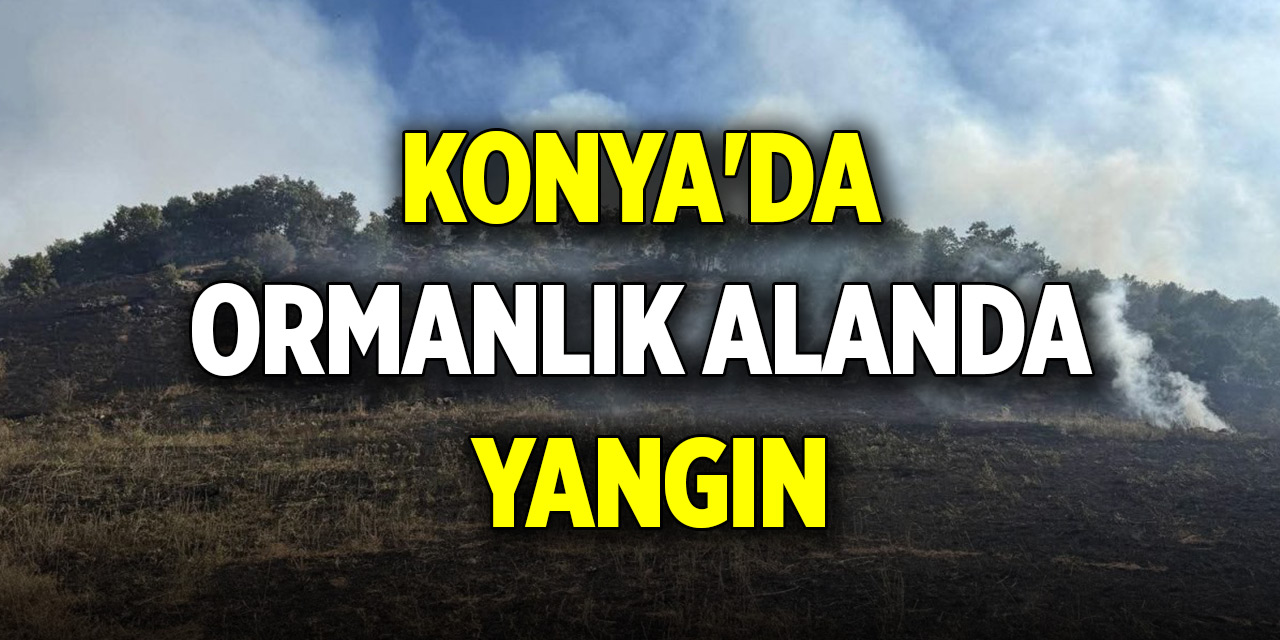 Konya'da ormanlık alanda yangın paniği