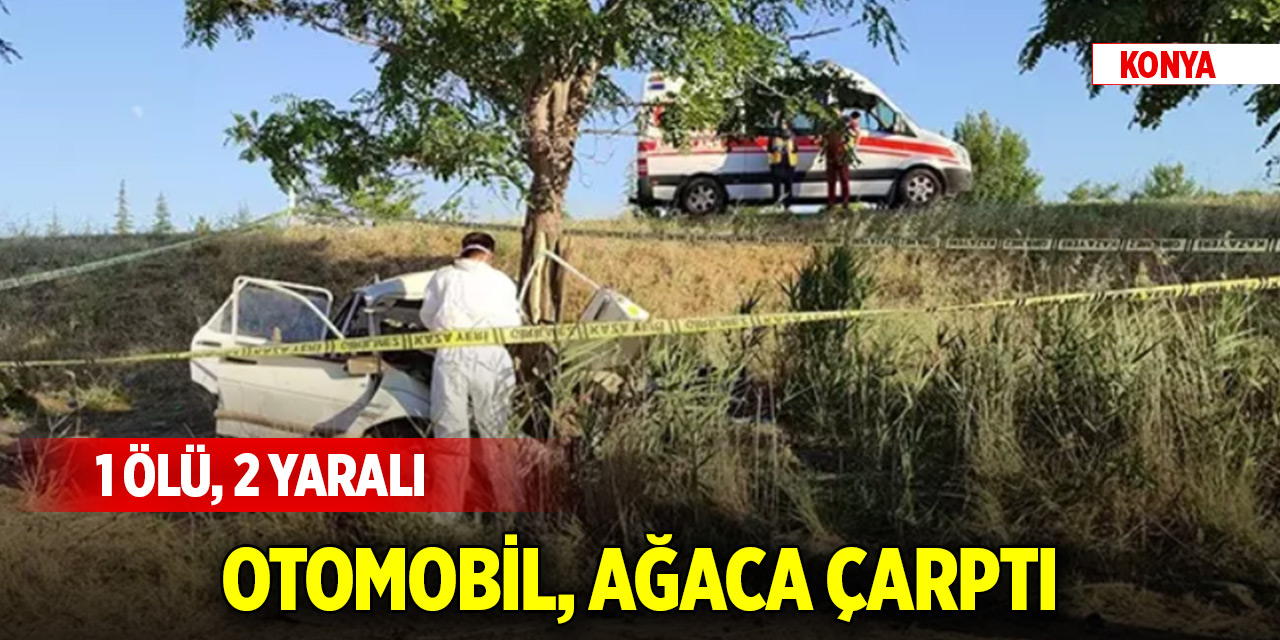 Konya'da otomobil, ağaca çarptı: 1 ölü, 2 yaralı