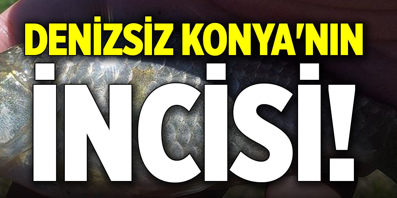 Denizsiz Konya'nın incisi!