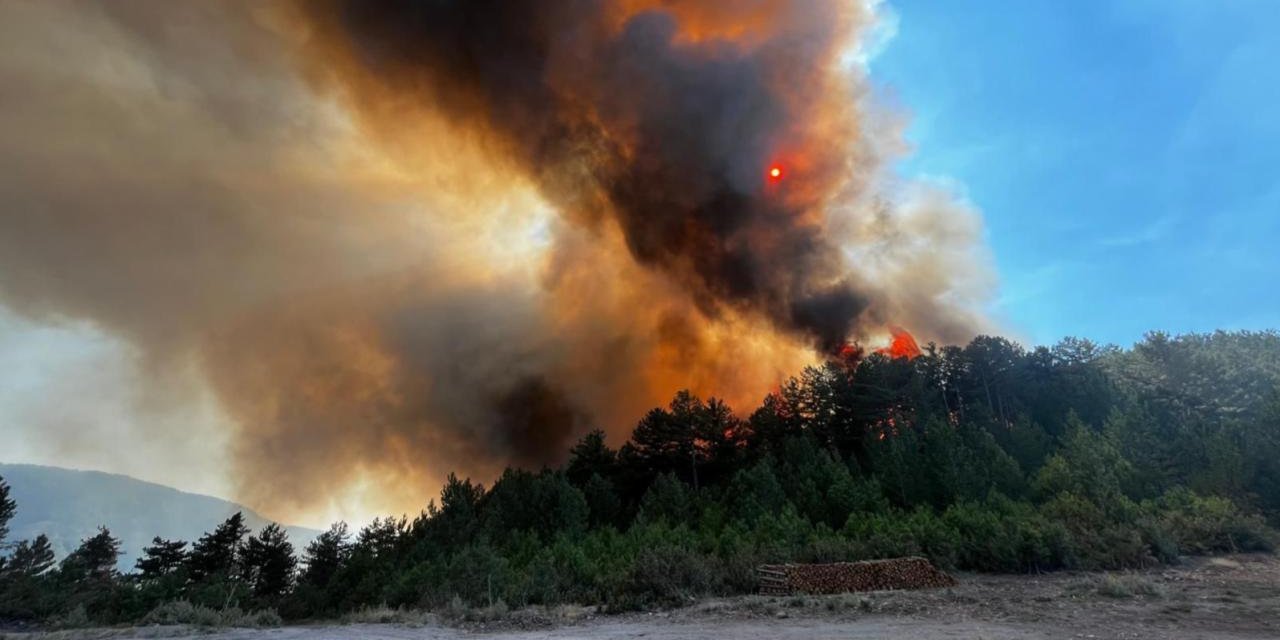 3 ilde ciğerlerimiz yanıyor