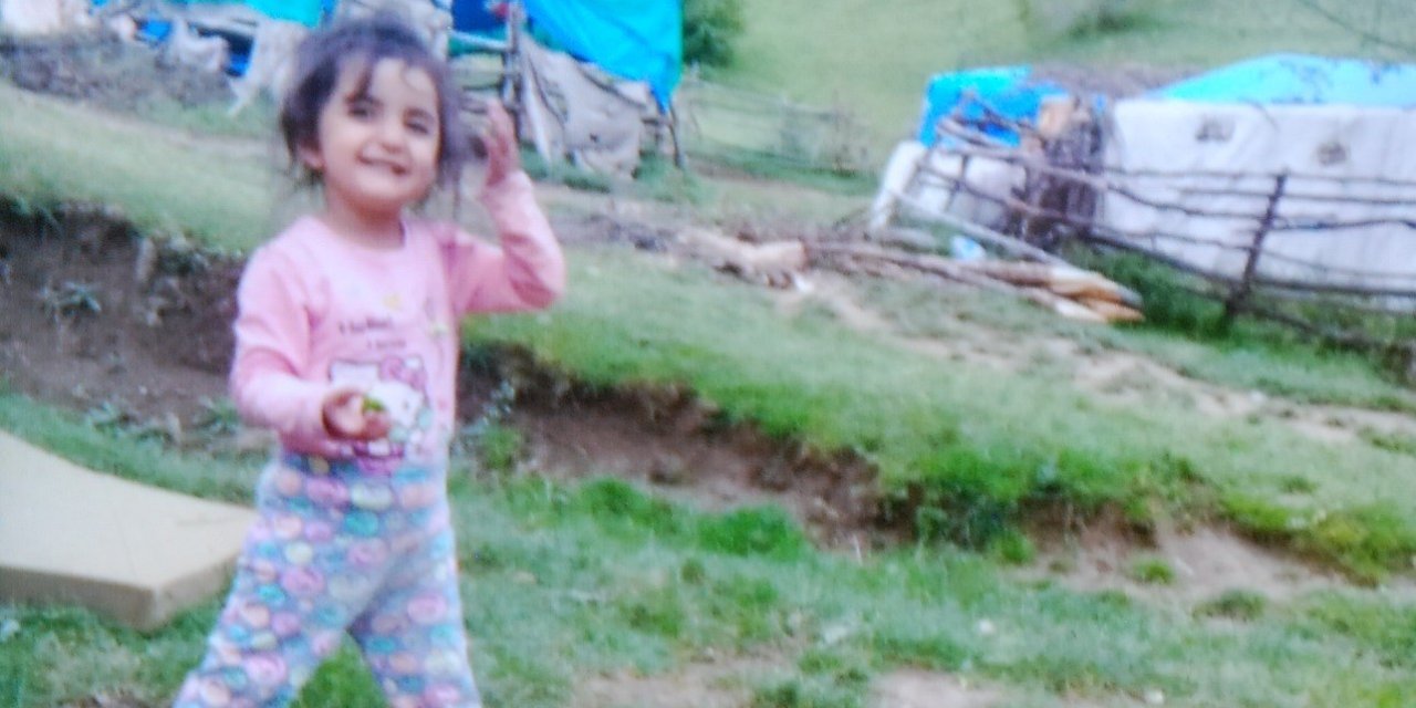 3,5 yaşındaydı... Kaybolan Evrim’den 7 yıldır haber alınamıyor