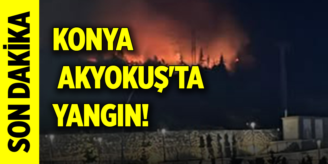 Son dakika! Konya Akyokuş'ta yangın! Alevler şehrin birçok noktasından görüldü
