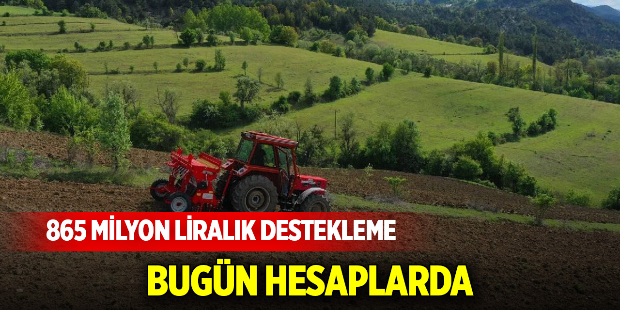 Tarım Bakanı Yumaklı: 865 milyon liralık destek ödemesi bugün hesaplarda