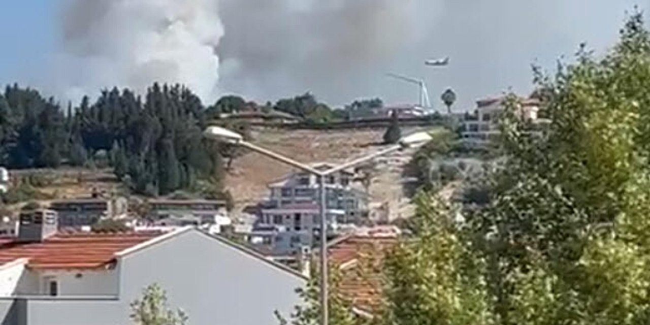 Bir orman yangını daha