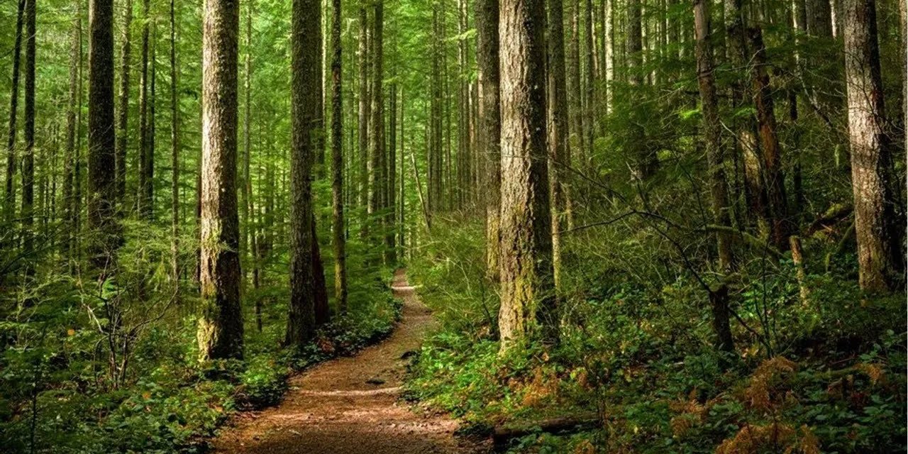 Konya'nın o ilçesine yasak geldi