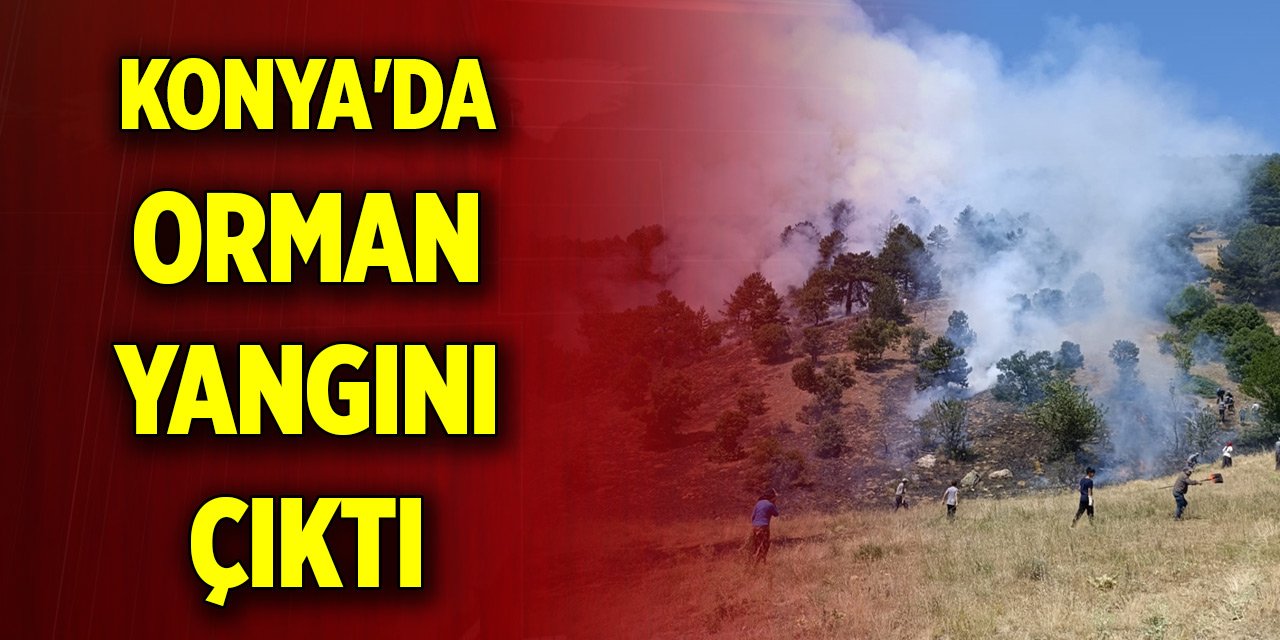 Konya'da orman yangını çıktı! Ekipler müdahale ediyor