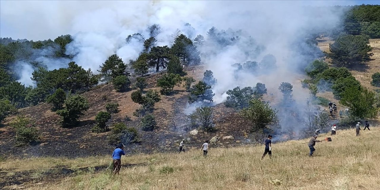 Konya'da çıkan orman yangınına müdahale ediliyor