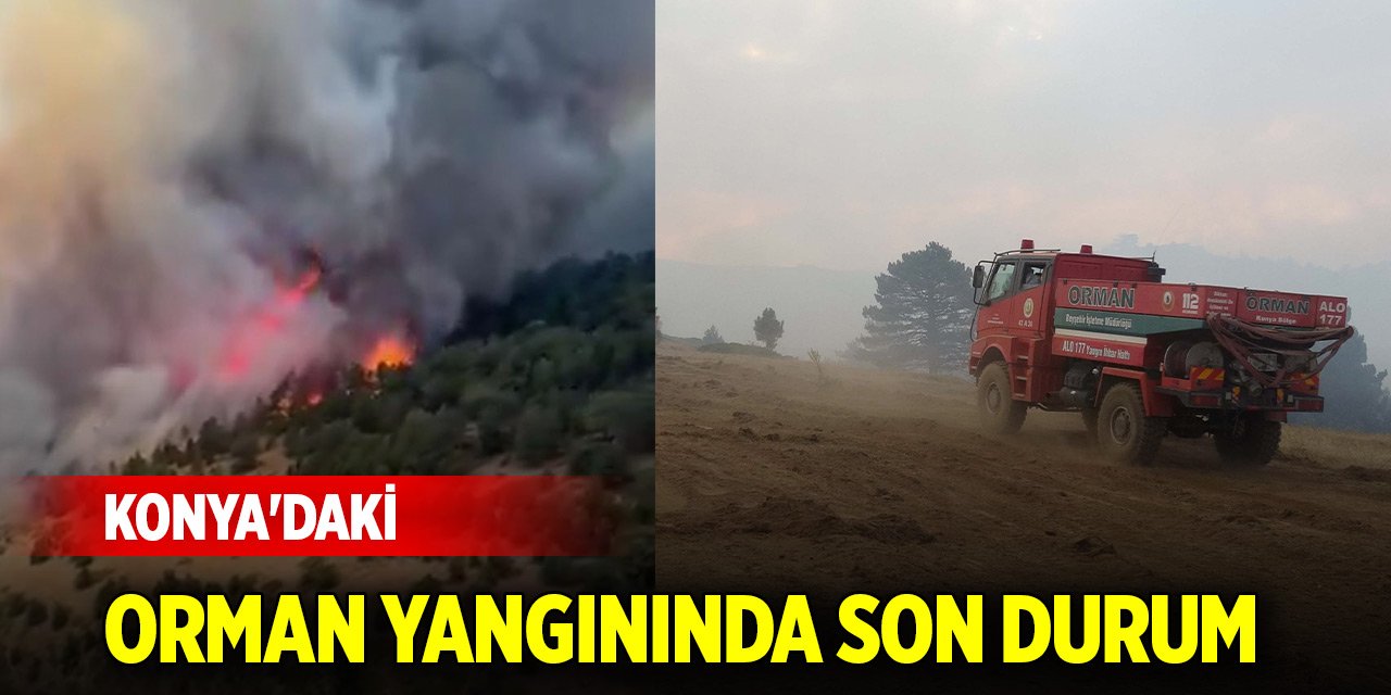 Konya'da çıkan orman yangınında son durum