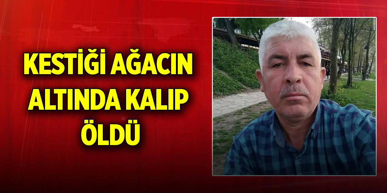 Kestiği ağacın altında kalıp öldü